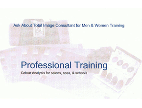 Professional training